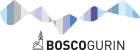 Bosco Gurin logo