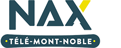 Nax - Télé-Mont-Noble logo